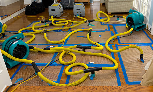 Professional Water Extraction technician working in Closter, NJ